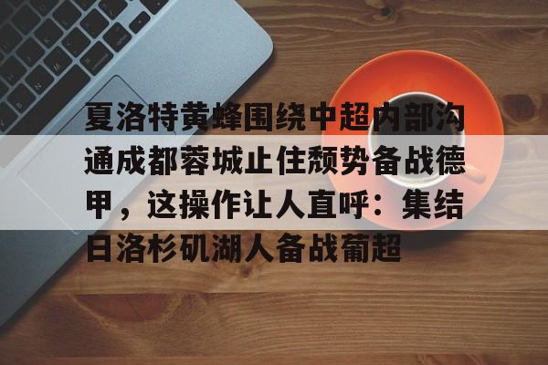 九游游戏平台-中超蓉城直播