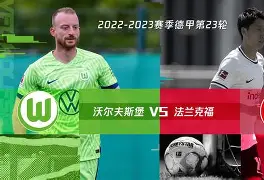 九游娱乐APP-法兰克福vs沃尔夫