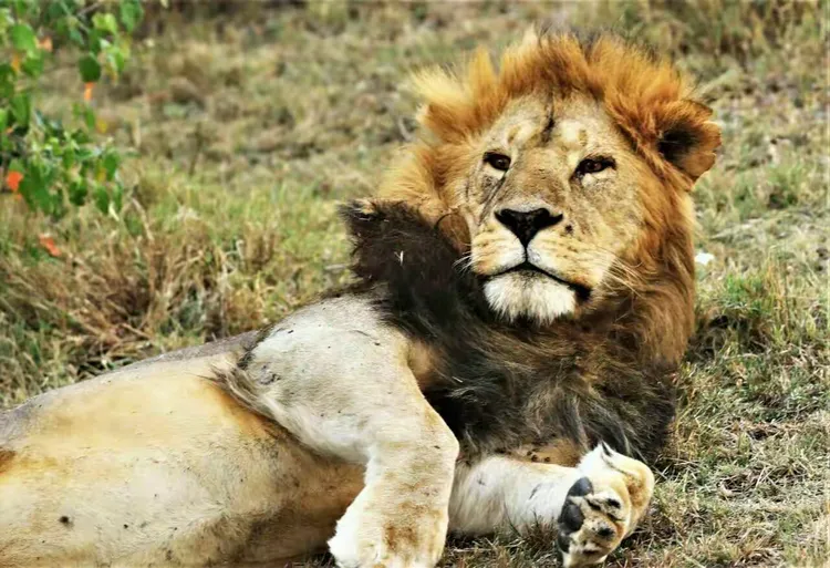 九游游戏平台-跑马参赛的三个过程