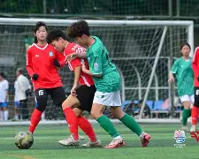 九游官网-女足选帅结果